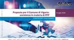 Proposta per il Comune di Vigasio: assistenza in materia di PPP