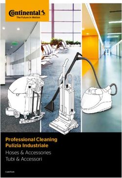 Professional Cleaning Pulizia Industriale Hoses & Accessories Tubi & Accessori