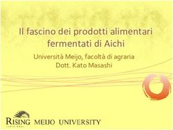 Il fascino dei prodotti alimentari fermentati di Aichi - Università Meijo, facoltà di agraria Dott. Kato Masashi