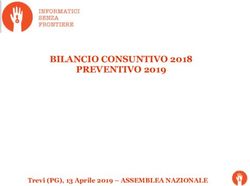 BILANCIO CONSUNTIVO 2018 PREVENTIVO 2019 - Trevi (PG), 13 Aprile 2019 - ASSEMBLEA NAZIONALE - Informatici Senza ...