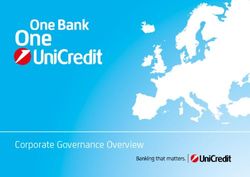 CORPORATE GOVERNANCE OVERVIEW - UNICREDIT GROUP