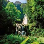 IN GITA NEI BENI DEL FAI - PROPOSTE PER L'ANNO SCOLASTICO 2020 | 2021 - VISITE DIDATTICHE IN PRESENZA E ONLINE PERCORSI ALL'ARIA APERTA IN TUTTA ...