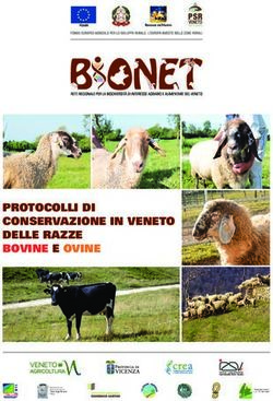 PROTOCOLLI DI CONSERVAZIONE IN VENETO DELLE RAZZE BOVINE E OVINE - Veneto Agricoltura