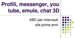 Profili, messenger, you tube, emule, chat 3D - ABC per internauti alle prime armi