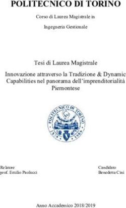 POLITECNICO DI TORINO - Webthesis