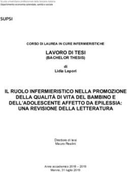 LAVORO DI TESI (BACHELOR THESIS)
