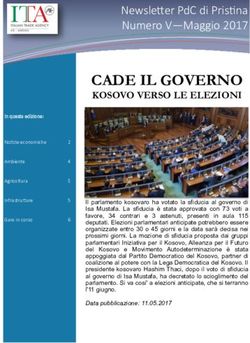 CADE IL GOVERNO KOSOVO VERSO LE ELEZIONI - Agenzia ICE