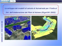 Lo sviluppo dei modelli di calcolo di Autostrade per l'Italia ai fini dell'elaborazione dei Piani di Azione (DLgs194/2005) - Agenti Fisici