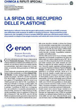 LA SFIDA DEL RECUPERO DELLE PLASTICHE - CHIMICA & - Societ&agrave; ...