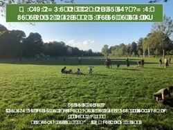 "Rischi ambientali, sanitari ed economici generati dalla carenza di verde nelle citt&agrave;" - Verde e Cervello 24 gennaio 2020 I benefici del verde ...