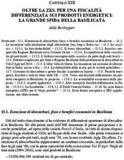 OLTRE LA ZES. PER UNA FISCALIT&Agrave; DIFFERENZIATA SUI PRODOTTI ENERGETICI: LA GRANDE SFIDA DELLA BASILICATA