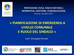 " PIANIFICAZIONE DI EMERGENZA A LIVELLO COMUNALE E RUOLO DEL SINDACO " - PROTEZIONE CIVILE, RISCHI NATURALI. NORMATIVA, GESTIONE, COMUNICAZIONE