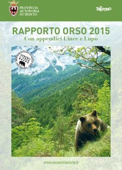 RAPPORTO ORSO 2015 Con appendici Lince e Lupo - PROVINCIA AUTONOMA DI TRENTO - Grandi carnivori in Trentino