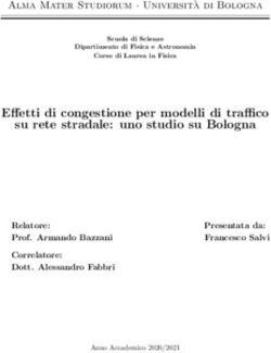Effetti di congestione per modelli di traffico su rete stradale: uno studio su Bologna