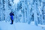 EPIFANIA IN LAPPONIA 4-10 gennaio 2021 - colori, tradizioni e aurora boreale