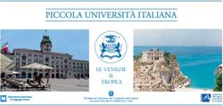 LE VENEZIE TROPEA & - Piccola Università Italiana