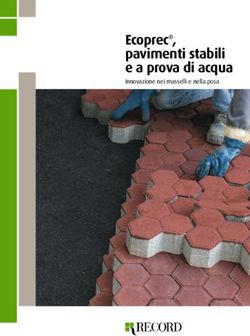 Ecoprec, pavimenti stabili e a prova di acqua - Innovazione nei masselli e nella posa