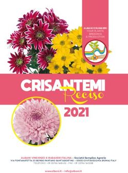 Reciso CRISANTEMI - Albani e Ruggieri