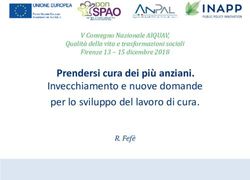 Prendersi cura dei pi&ugrave; anziani - Invecchiamento e nuove domande per lo sviluppo del lavoro di cura.