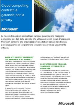 Cloud computing: contratti e garanzie per la privacy