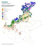 Rapporto di analisi per Priorit&agrave; 4 e 5 delPSR Veneto 2014-2020 - Regione del Veneto - Istituto Nazione di Economia Agraria Sede regionale per il ...