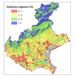 Rapporto di analisi per Priorit&agrave; 4 e 5 delPSR Veneto 2014-2020 - Regione del Veneto - Istituto Nazione di Economia Agraria Sede regionale per il ...