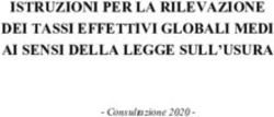 ISTRUZIONI PER LA RILEVAZIONE DEI TASSI EFFETTIVI GLOBALI MEDI AI SENSI DELLA LEGGE SULL'USURA - Consultazione 2020 - Banca d'Italia