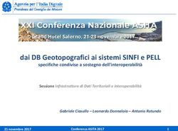 Dai DB Geotopografici ai sistemi SINFI e PELL - RNDT