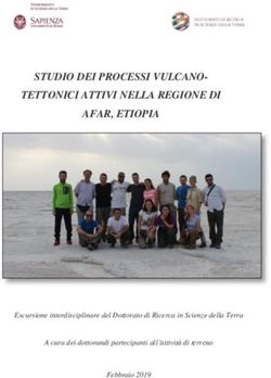STUDIO DEI PROCESSI VULCANO-TETTONICI ATTIVI NELLA REGIONE DI AFAR, ETIOPIA - Escursione interdisciplinare del Dottorato di Ricerca in Scienze ...