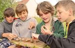 SCUOLA PRIMARIA ANNO 2021-2022 - OFFERTA DIDATTICA - PARCO REGIONALE DEI COLLI EUGANEI