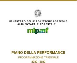 PIANO DELLA PERFORMANCE - PROGRAMMAZIONE TRIENNALE - programmazione triennale 2020