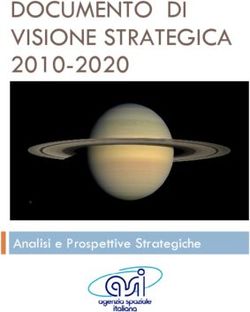 DOCUMENTO DI VISIONE STRATEGICA 2010-2020 - Analisi e Prospettive Strategiche - AlmavivA