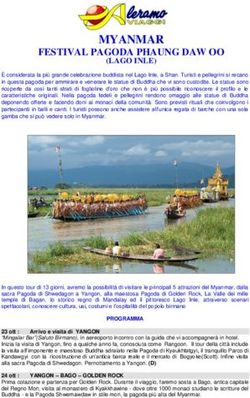 MYANMAR FESTIVAL PAGODA PHAUNG DAW OO - (LAGO INLE) - Aleramo Viaggi