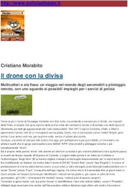 Il drone con la divisa - Cristiano Morabito