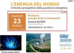DIPARTIMENTO DI FISICA - TRIGA-LENA-UNIPV