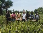 AGRICOLTORI BIOLOGICI - ORGANIC FARMERS - BRIO SPA