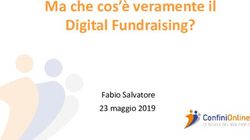 Ma che cos'è veramente il Digital Fundraising? - Fabio Salvatore 23 maggio 2019 - ConfiniOnline