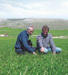 Il grano La vostra scelta. Il nostro impegno - Bayer Crop Science Italia