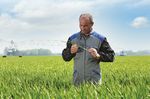 Il grano La vostra scelta. Il nostro impegno - Bayer Crop Science Italia