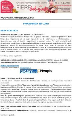 PROGRAMMA PROFESSIONALE 2018