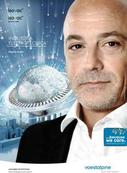 We care - INDUSTRIA ELETTROTECNICA Expect more - Voestalpine