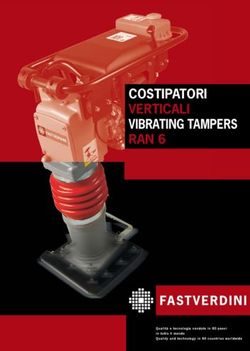 COSTIPATORI VERTICALI VIBRATING TAMPERS RAN 6