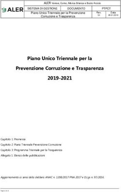 Piano Unico Triennale per la Prevenzione Corruzione e Trasparenza 2019-2021