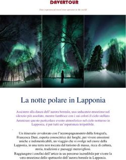 La notte polare in Lapponia - Davertour