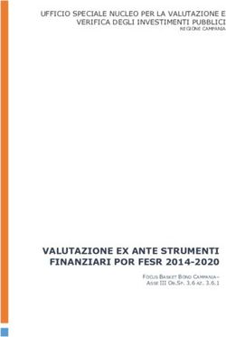 VALUTAZIONE EX ANTE STRUMENTI FINANZIARI POR FESR 2014-2020 - UFFICIO SPECIALE NUCLEO PER LA VALUTAZIONE E VERIFICA DEGLI INVESTIMENTI PUBBLICI