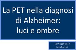 La PET nella diagnosi di Alzheimer: luci e ombre - 16 maggio 2014 Luca Rozzini