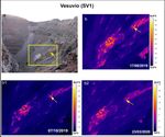 VESUVIO MARZO 2020 Bollettino di Sorveglianza