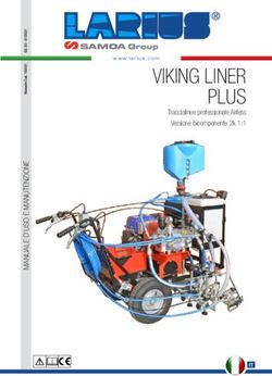VIKING LINER PLUS TRACCIALINEE PROFESSIONALE AIRLESS VERSIONE BICOMPONENTE 2K 1:1 - SPRUZZATURA PRODOTTI SIKA