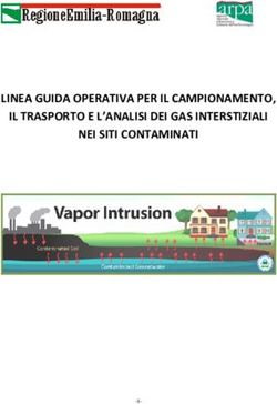 LINEA GUIDA OPERATIVA PER IL CAMPIONAMENTO, IL TRASPORTO E L'ANALISI DEI GAS INTERSTIZIALI NEI SITI CONTAMINATI