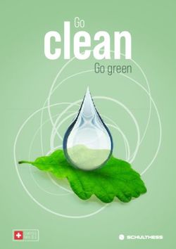 Goclean Go green - Schulthess Maschinen AG